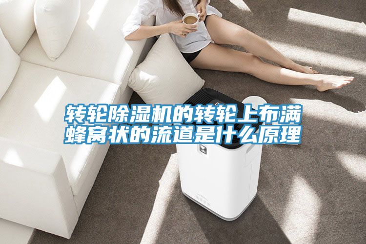 转轮除湿机的转轮上布满蜂窝状的流道是什么原理