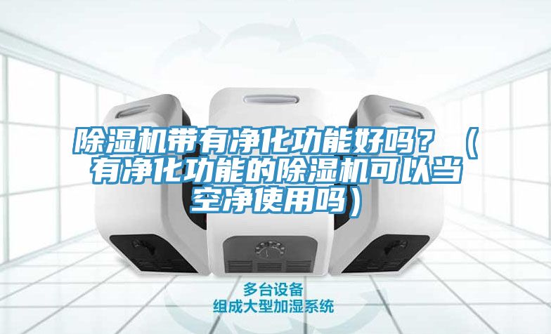 除湿机带有净化功能好吗？（有净化功能的除湿机可以当空净使用吗）