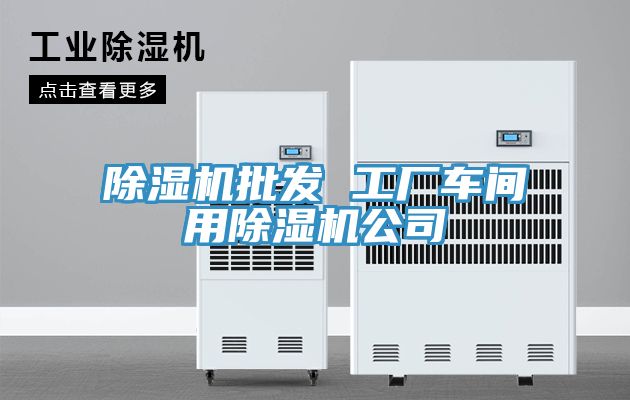 除湿机批发 工厂车间用除湿机公司