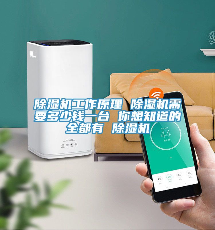 除湿机工作原理 除湿机需要多少钱一台 你想知道的全都有 除湿机