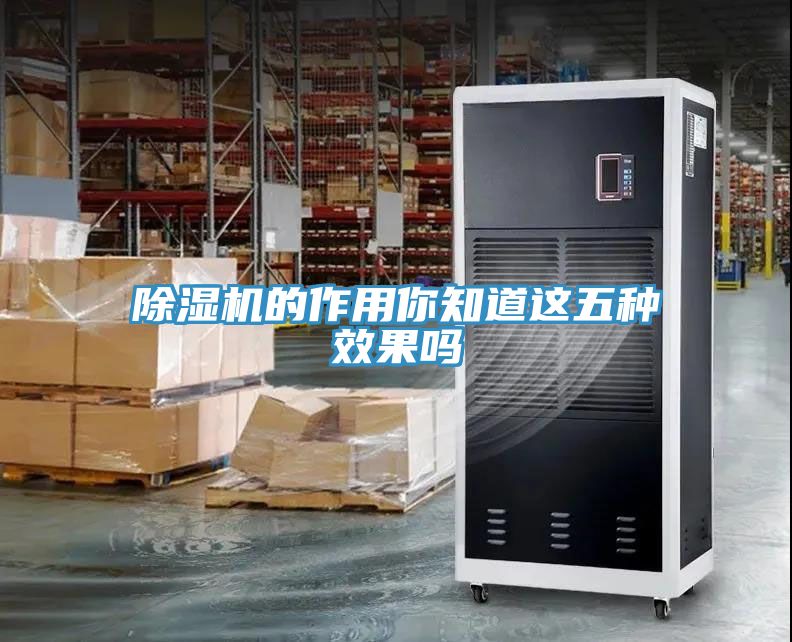 除湿机的作用你知道这五种效果吗