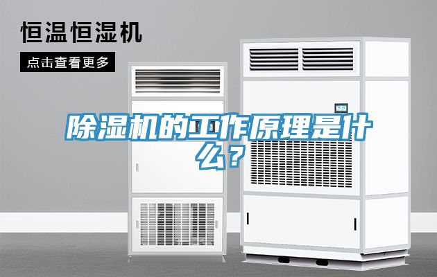 除湿机的工作原理是什么？
