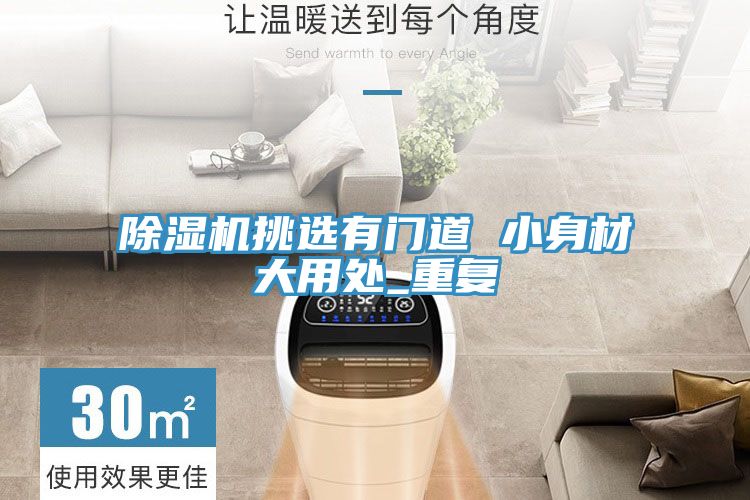 除湿机挑选有门道 小身材大用处_重复