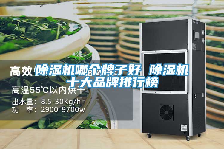 除湿机哪个牌子好 除湿机十大品牌排行榜