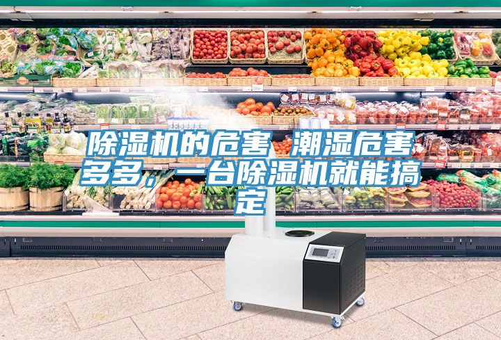 除湿机的危害 潮湿危害多多，一台除湿机就能搞定