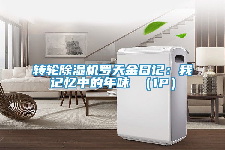 转轮除湿机罗天金日记：我记忆中的年味 （1P）