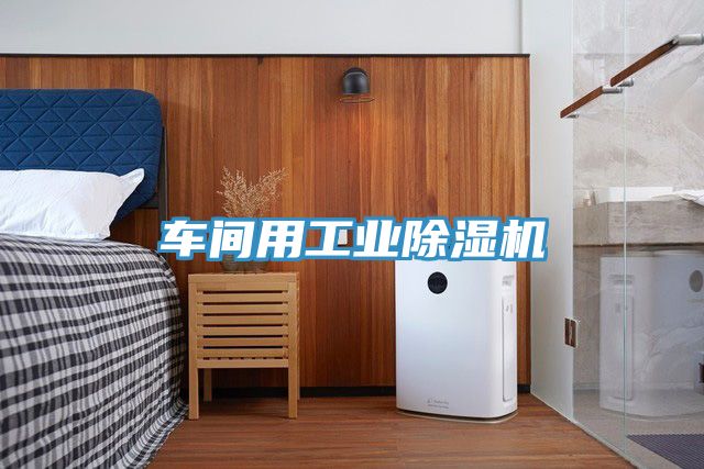 车间用工业除湿机