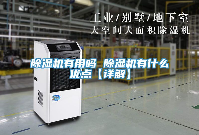 除湿机有用吗 除湿机有什么优点【详解】