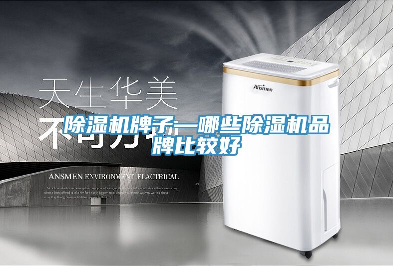 除湿机牌子—哪些除湿机品牌比较好