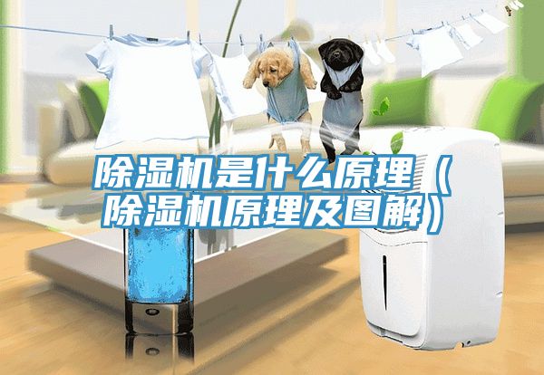 除湿机是什么原理（除湿机原理及图解）