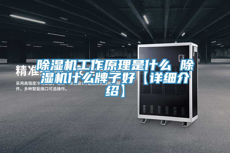 除湿机工作原理是什么 除湿机什么牌子好【详细介绍】