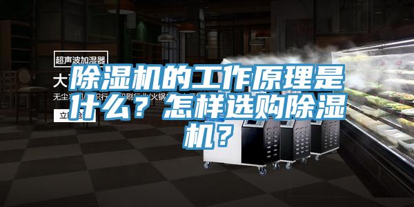 除湿机的工作原理是什么？怎样选购除湿机？