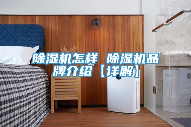 除湿机怎样 除湿机品牌介绍【详解】