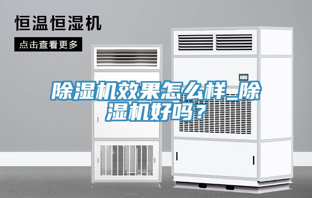 除湿机效果怎么样_除湿机好吗？
