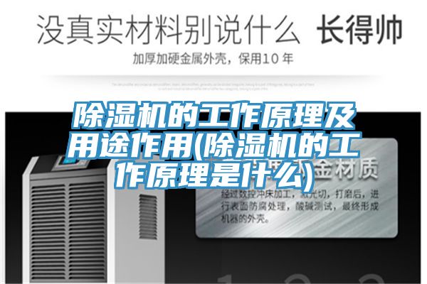 除湿机的工作原理及用途作用(除湿机的工作原理是什么)