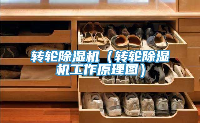 转轮除湿机（转轮除湿机工作原理图）
