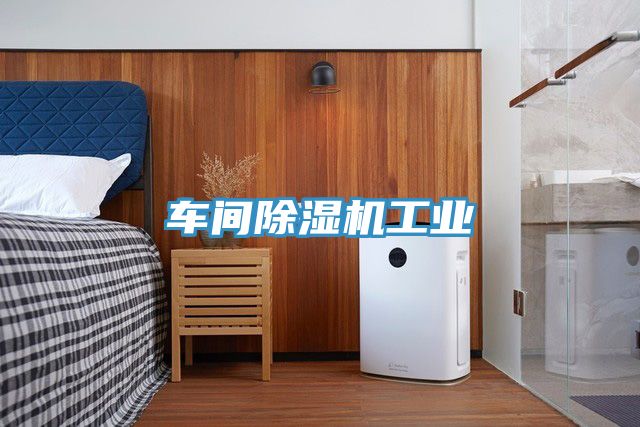 车间除湿机工业