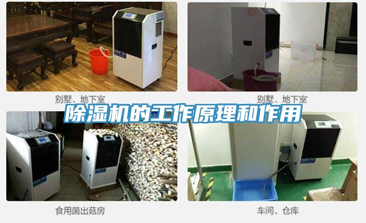 除湿机的工作原理和作用
