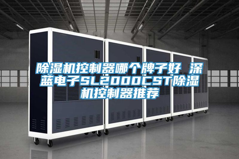 除湿机控制器哪个牌子好 深蓝电子SL2000CST除湿机控制器推荐