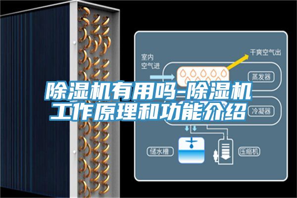 除湿机有用吗-除湿机工作原理和功能介绍