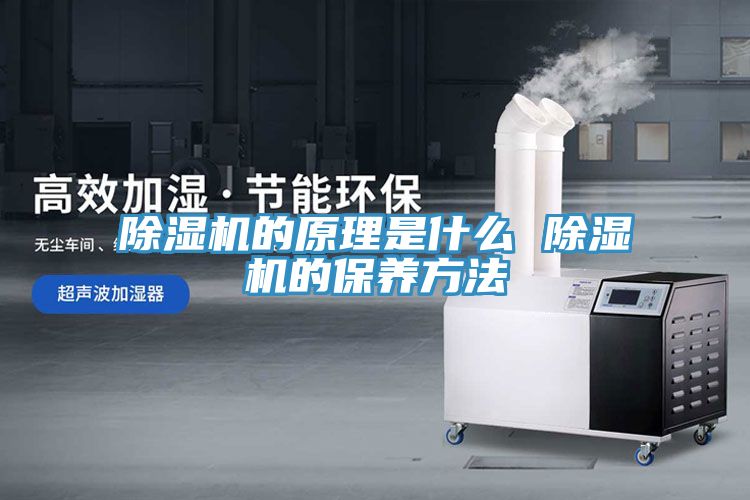 除湿机的原理是什么 除湿机的保养方法