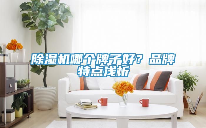 除湿机哪个牌子好？品牌特点浅析