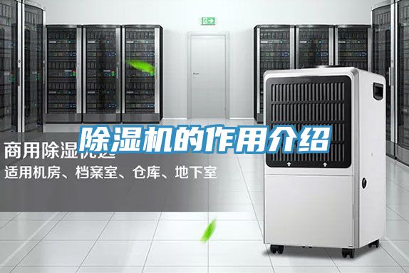 除湿机的作用介绍