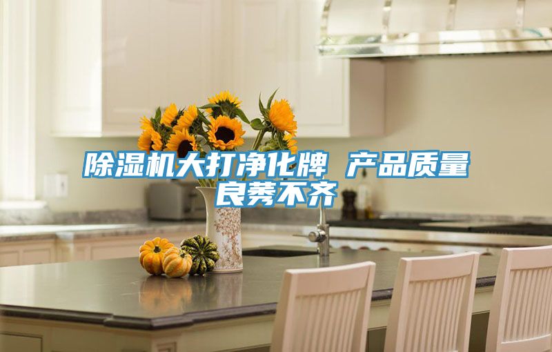 除湿机大打净化牌 产品质量良莠不齐