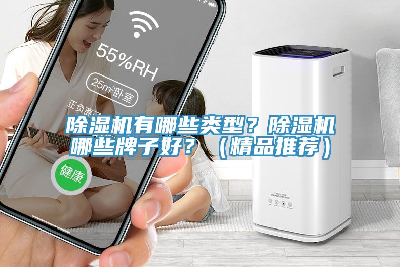 除湿机有哪些类型？除湿机哪些牌子好？（精品推荐）