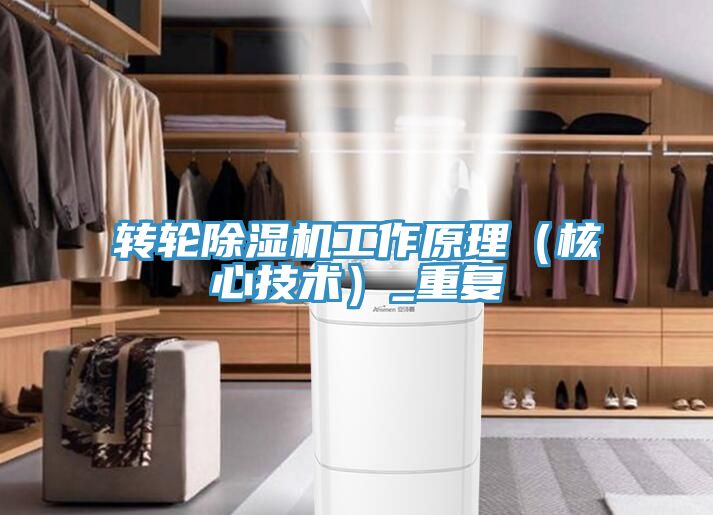 转轮除湿机工作原理（核心技术）_重复
